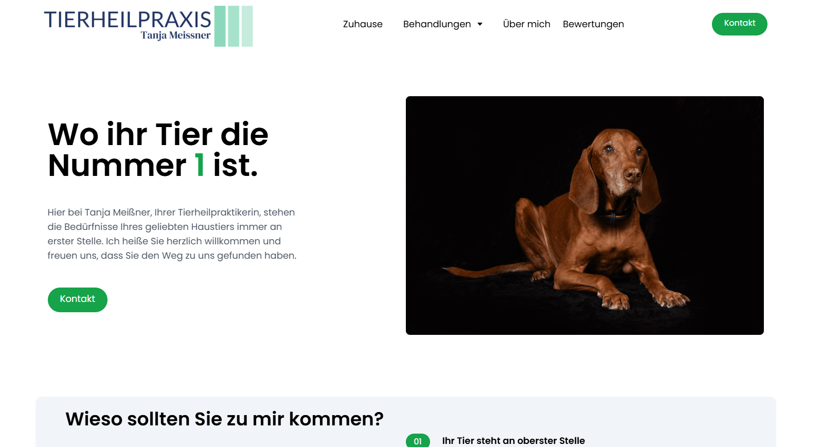 Website Vorschau Tierheilpraxis Meissner